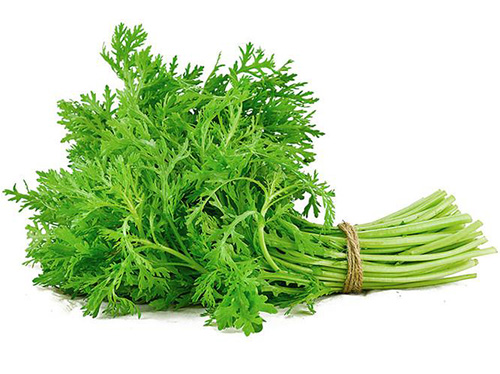 初春野菜味道香，吃法正確才健康